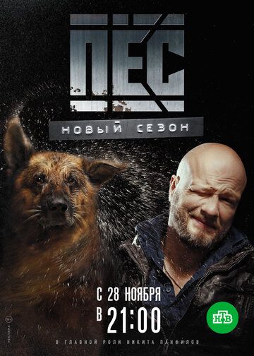 Пес (5 сезон) смотреть онлайн